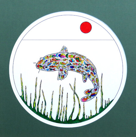 Koi