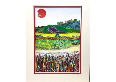 Tulips in Long Grass
